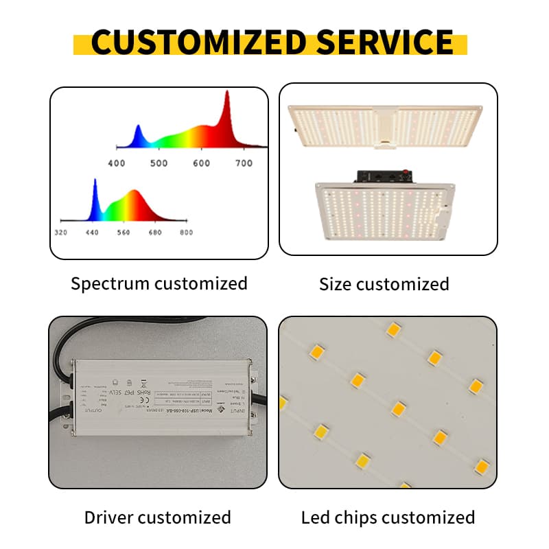 Remette full spectrum 110W 220w 450w 600w quantum grow lights lm301h evo