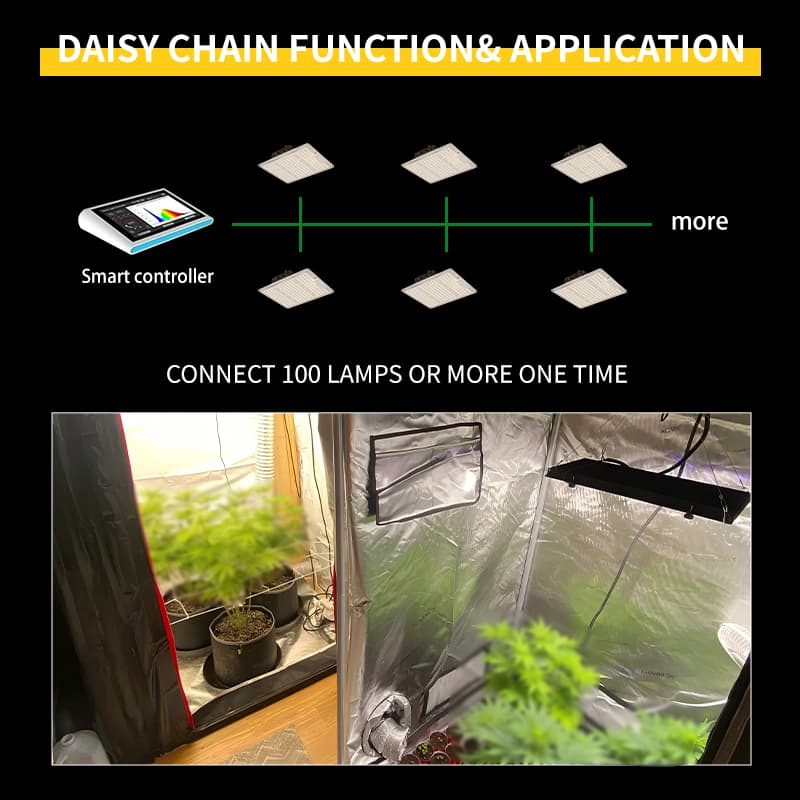 Remette Quantum 110w 220w 450w 600w Full Spectrum Led Grow Light for Growing