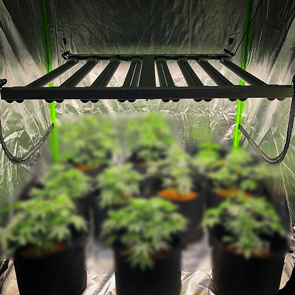 Grow Tent Grow Light 