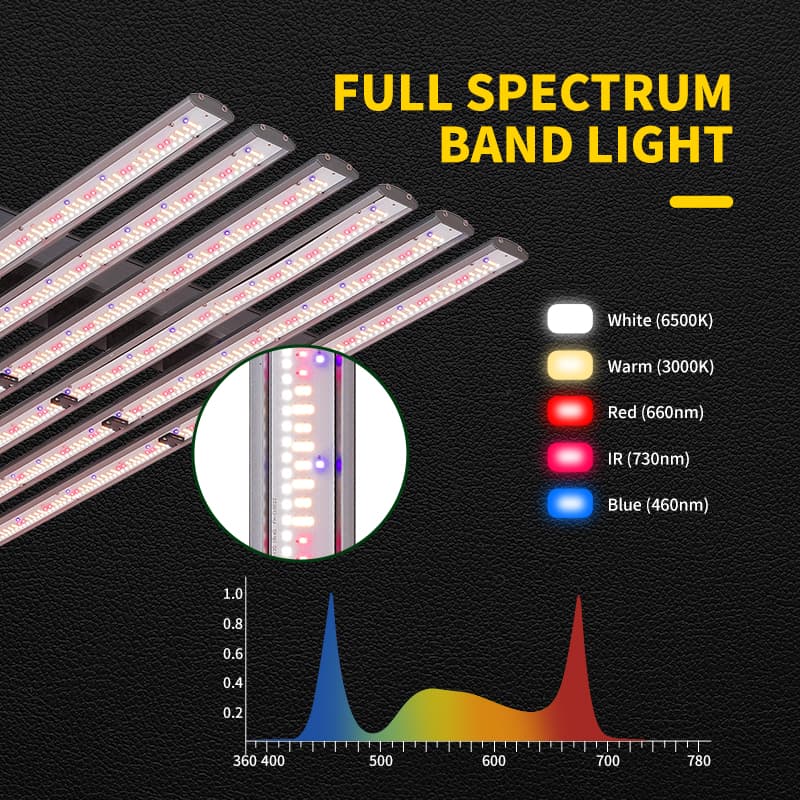 Detachable Green House 600w 720w 800w Full Spectrum Indoor Plant Grow Light