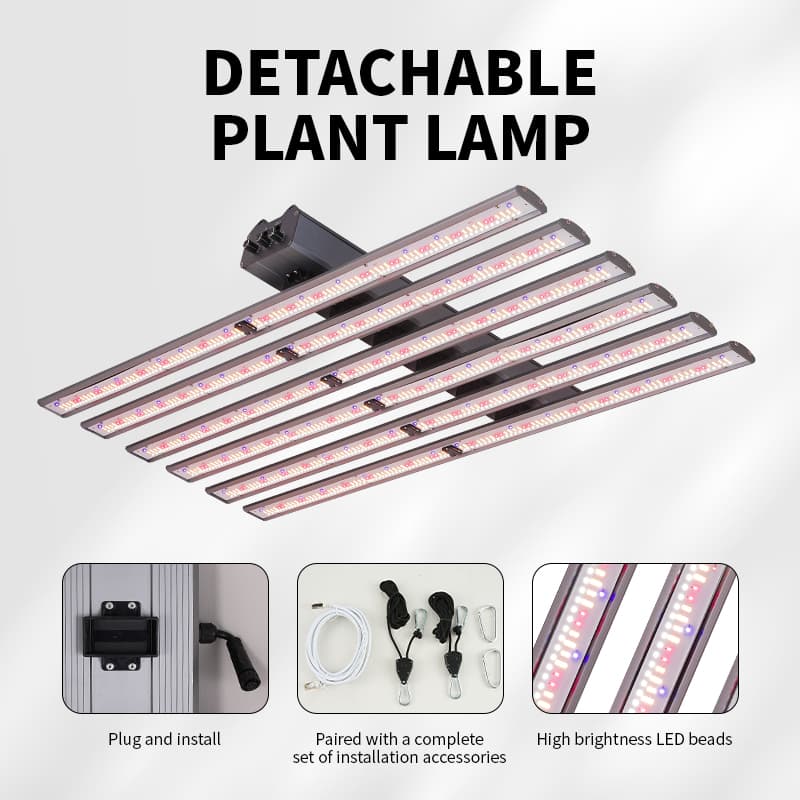 Detachable Green House 600w 720w 800w Full Spectrum Indoor Plant Grow Light