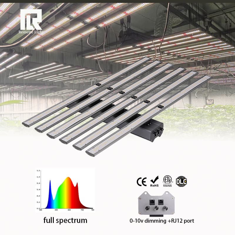 Detachable Green House 600w 720w 800w Full Spectrum Indoor Plant Grow Light
