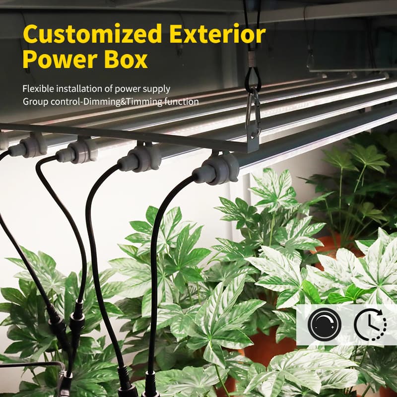 Samsung Diodes 5w 10w 15w 18w 24w Succulent Seedling Grow Light