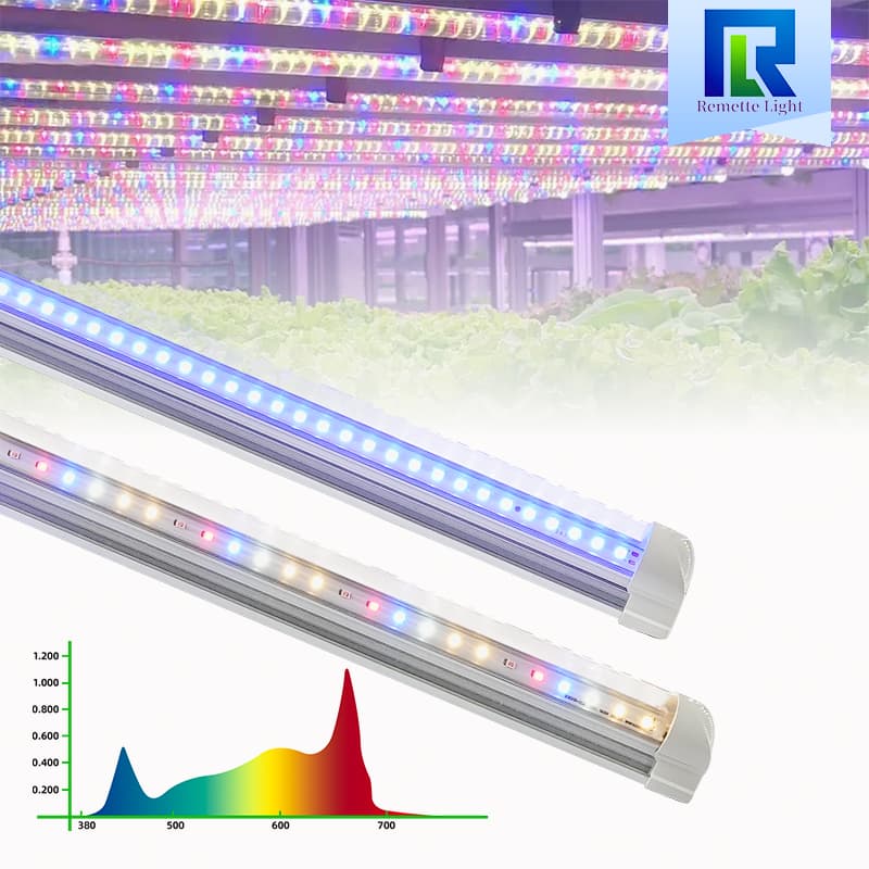Samsung Diodes 5w 10w 15w 18w 24w Succulent Seedling Grow Light