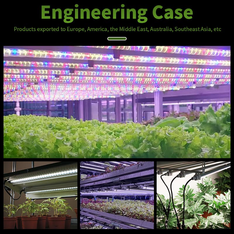 Remette 60cm 90cm 120cm 150cm Hydro Commercial Grow Light Full Spectrum