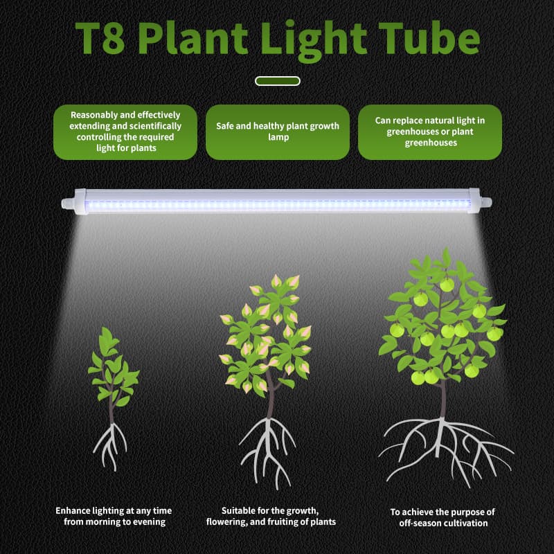 Rt-T806fv T8 Tube Light Full Spectrum Led Grow Lights for Seedlings