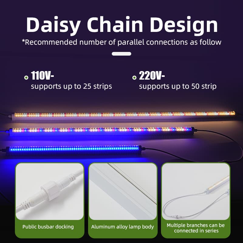 Rt-T806fv T8 Tube Light Full Spectrum Led Grow Lights for Seedlings