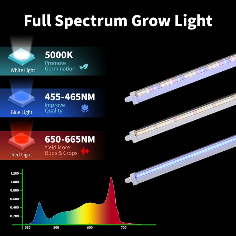 Rt-T806fv T8 Tube Light Full Spectrum Led Grow Lights for Seedlings