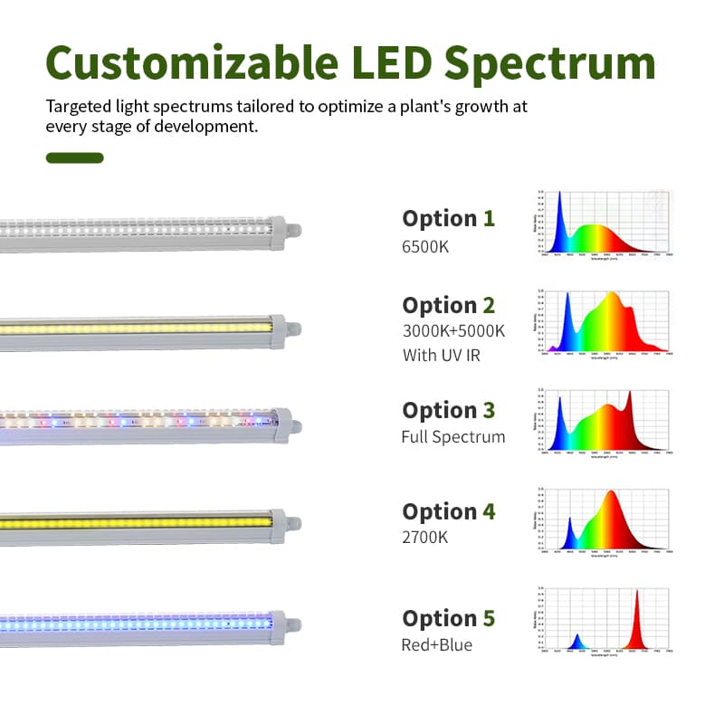 Rt-T806fv T8 Tube Light Full Spectrum Led Grow Lights for Seedlings