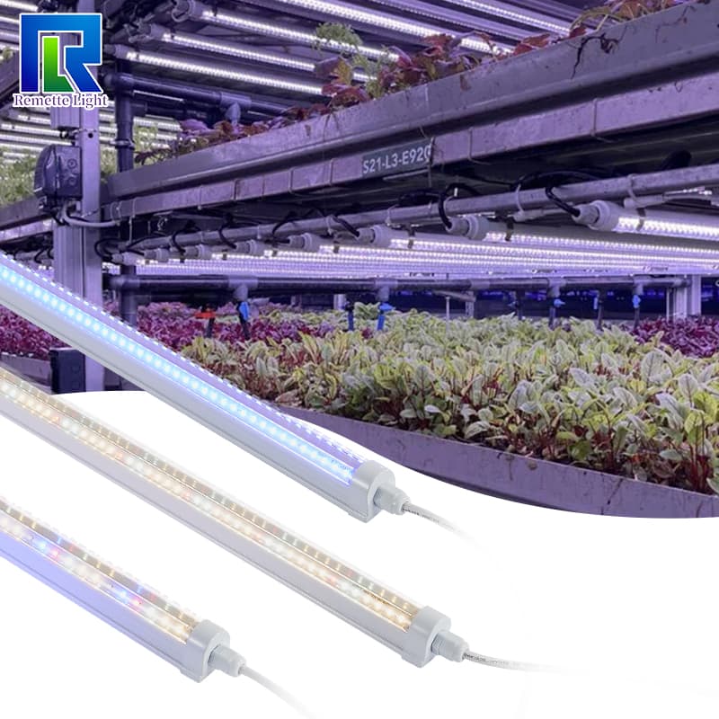 Rt-T806fv T8 Tube Light Full Spectrum Led Grow Lights for Seedlings