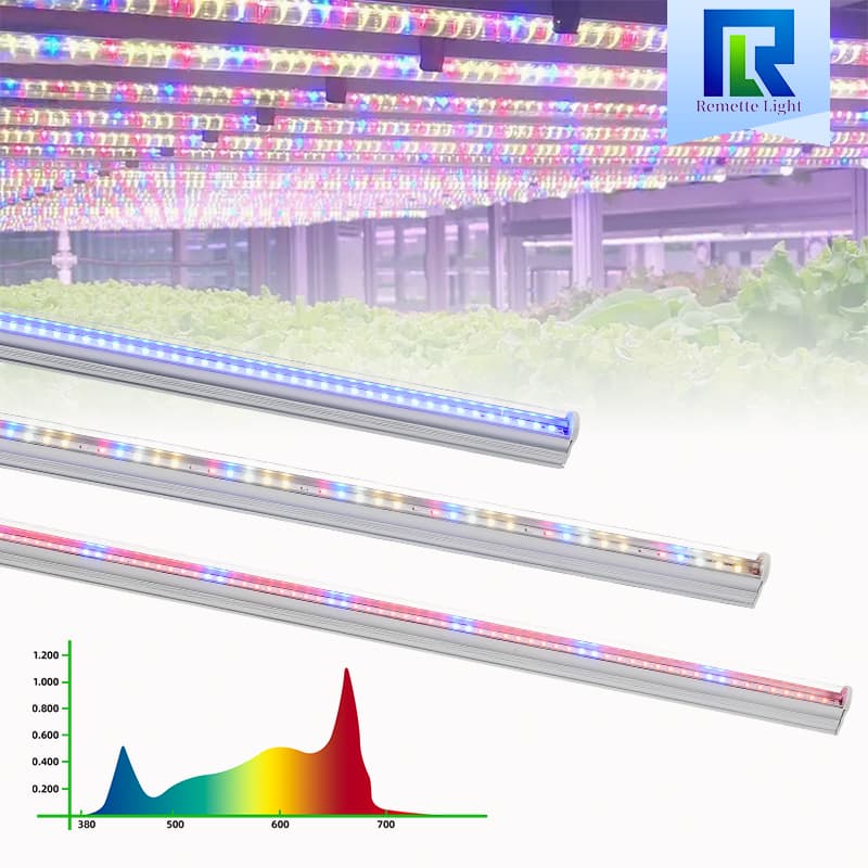 Rt-T806v 20w 30w 36w Full Spectrum Led Grow Light for Indoor Plants