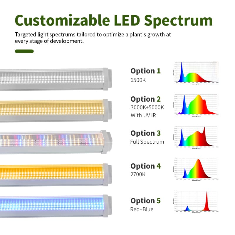 Rt-T20-06 T20 Tube 36w 48w 55w Hydroponic Grow Led Lights for Indoor Plants