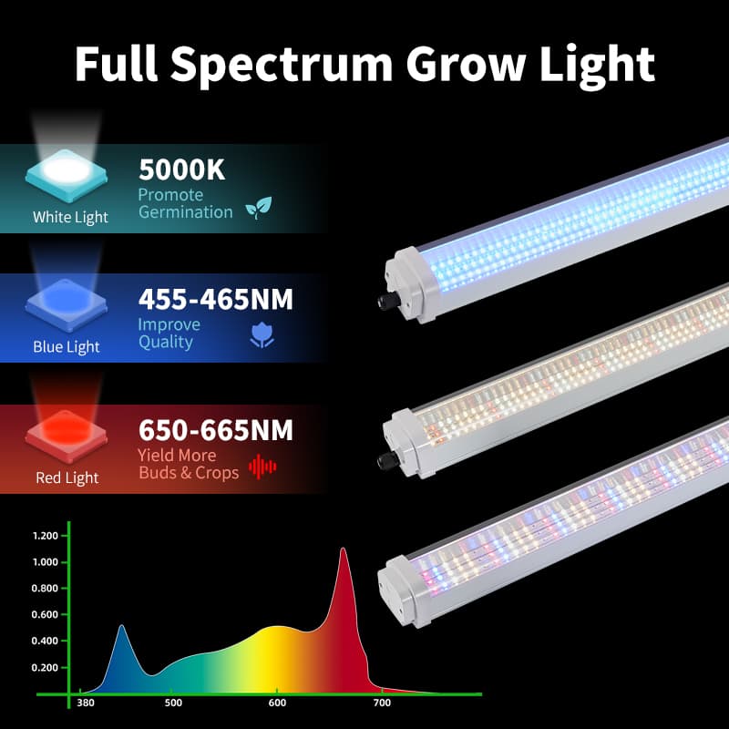 Rt-T20-06 T20 Tube 36w 48w 55w Hydroponic Grow Led Lights for Indoor Plants