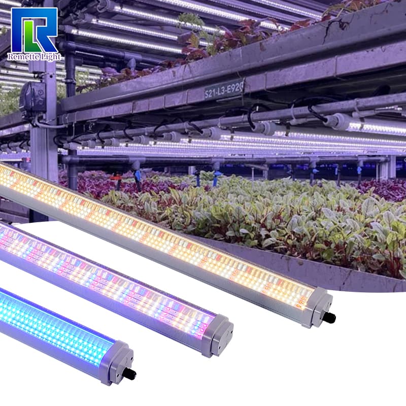 Rt-T20-06 T20 Tube 36w 48w 55w Hydroponic Grow Led Lights for Indoor Plants