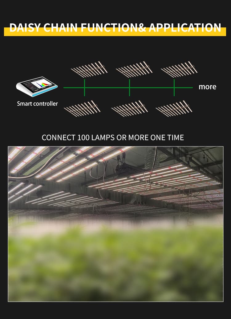 1745831292434800
