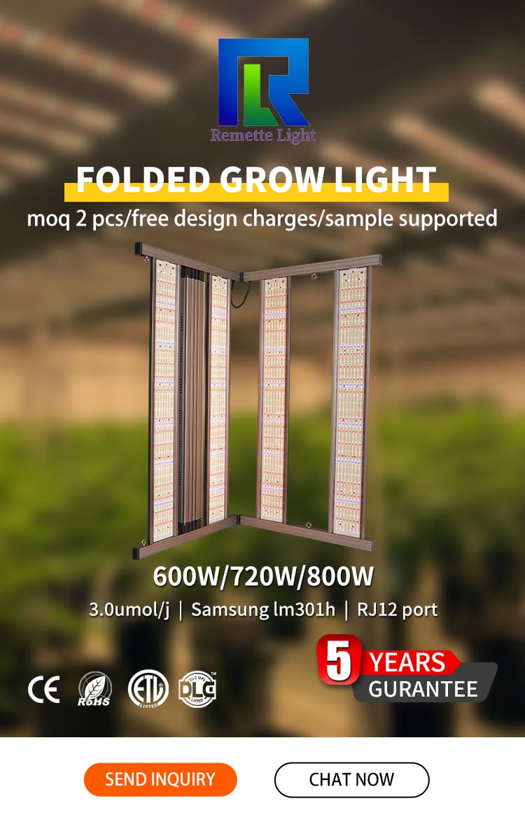 1745915448970912